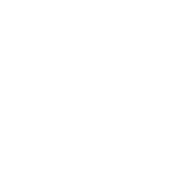 HORTON D R INC /DE/ logo