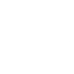 FASTENAL CO logo
