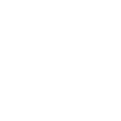 ROYAL CARIBBEAN CRUISES LTD logo